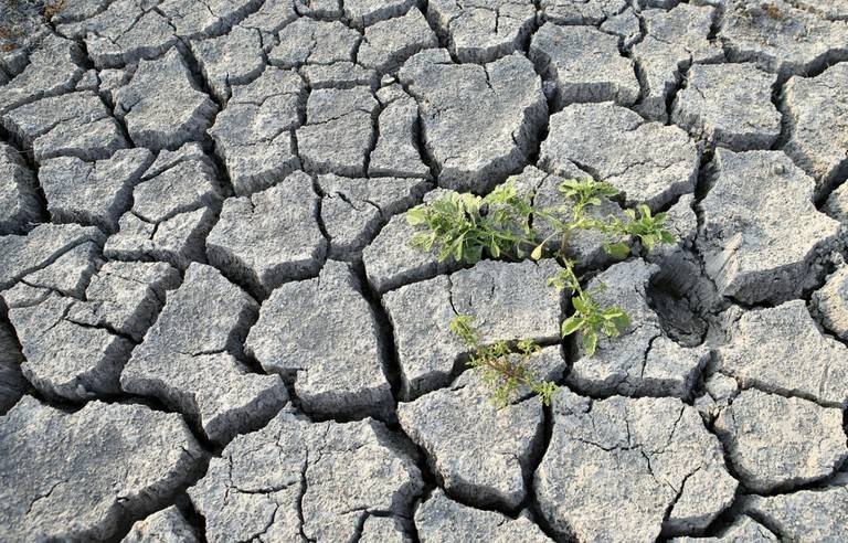 768x492_situation-nappes-phreatiques-1er-juin-2022-degradee-nombreuses-regions-france-alerte-brgm